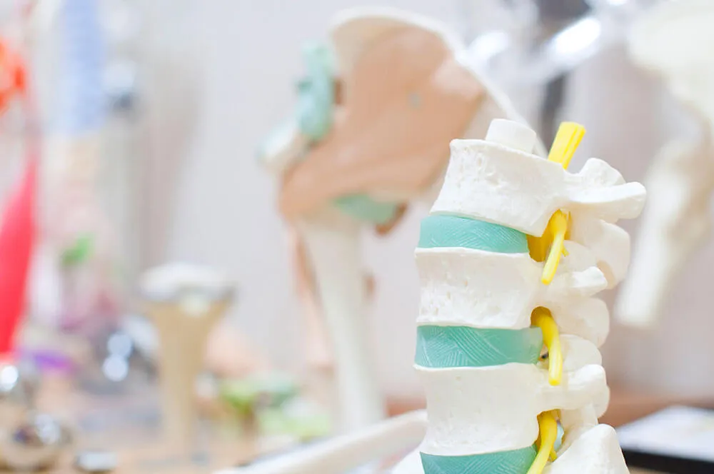 骨粗しょう症とは