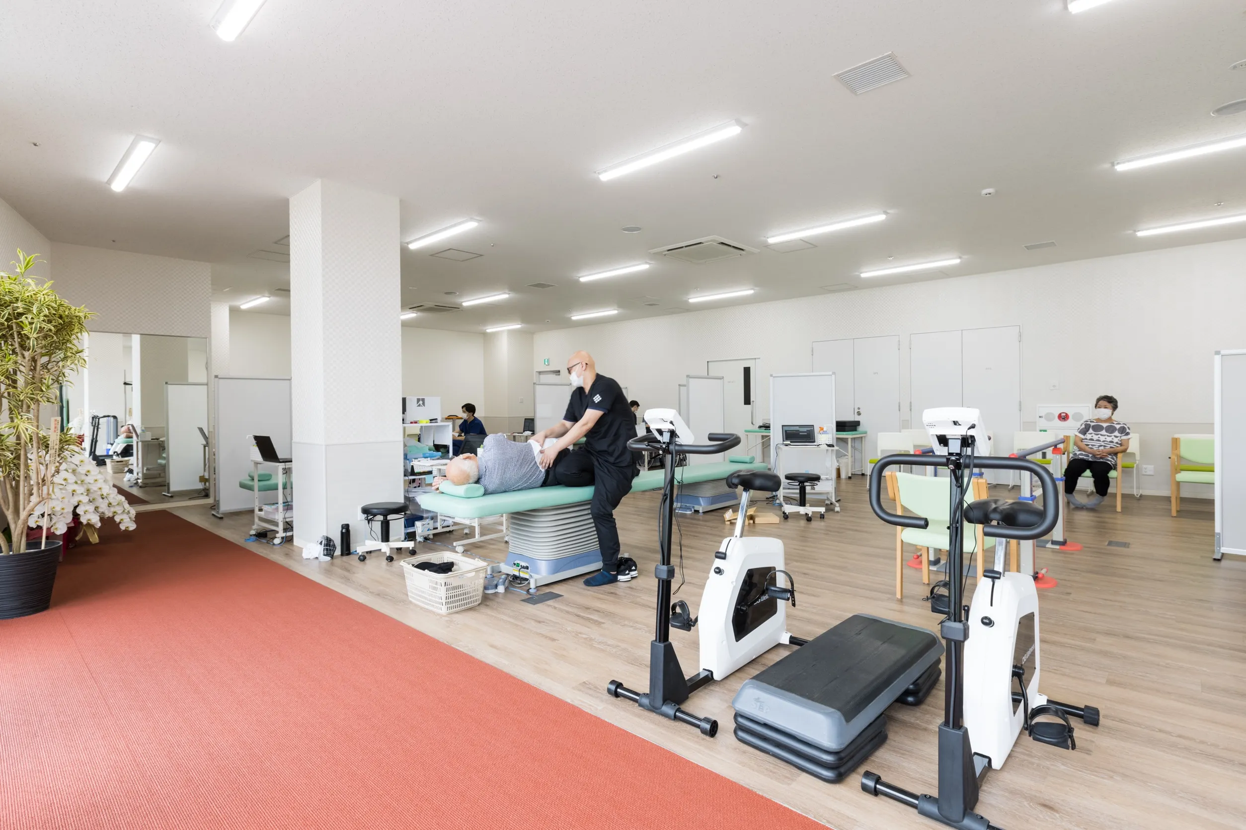 リハビリテーション